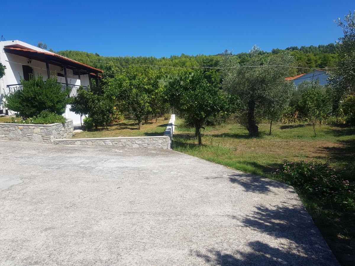 Kaiti Studios 1 Koukounaries Dış mekan fotoğraf
