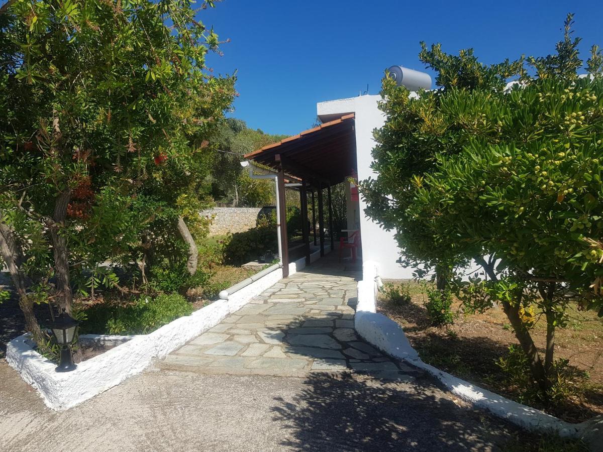 Kaiti Studios 1 Koukounaries Dış mekan fotoğraf