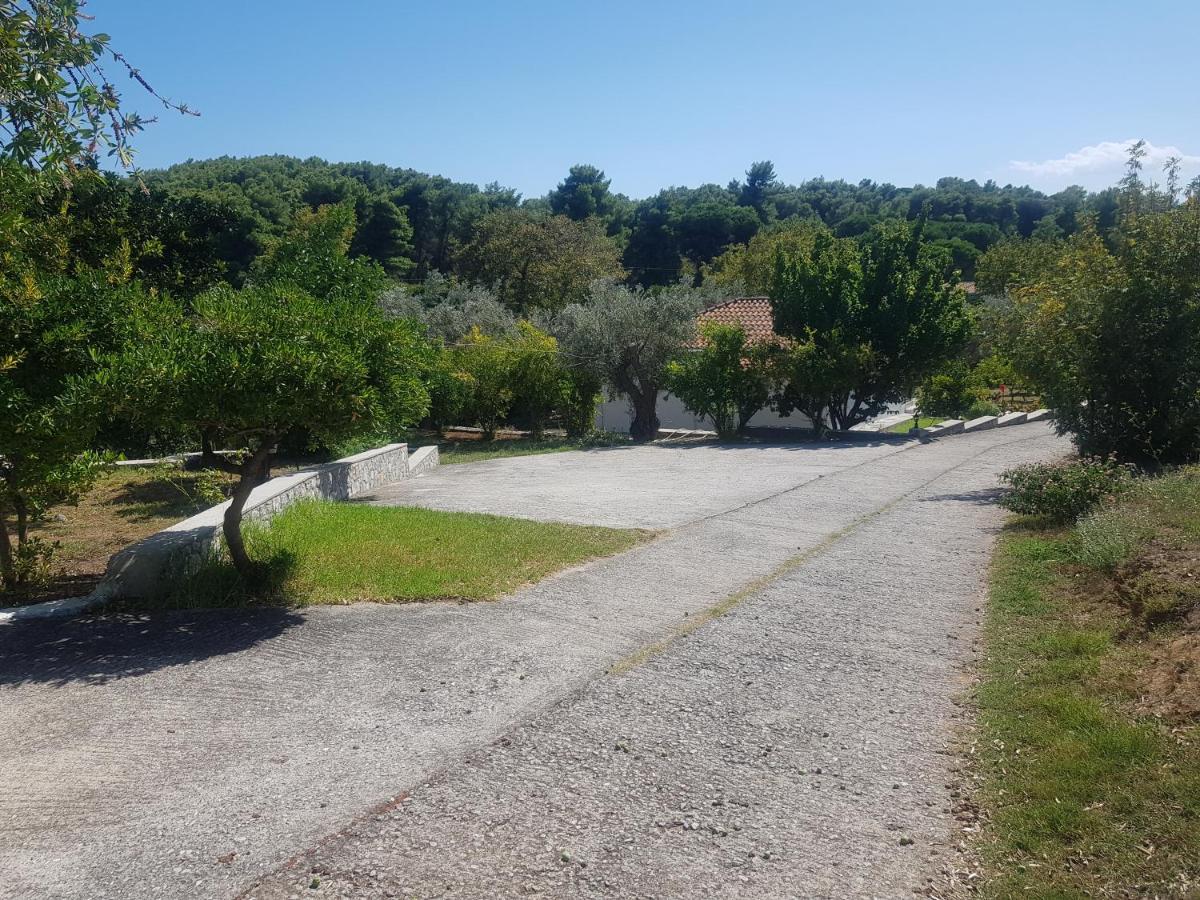 Kaiti Studios 1 Koukounaries Dış mekan fotoğraf