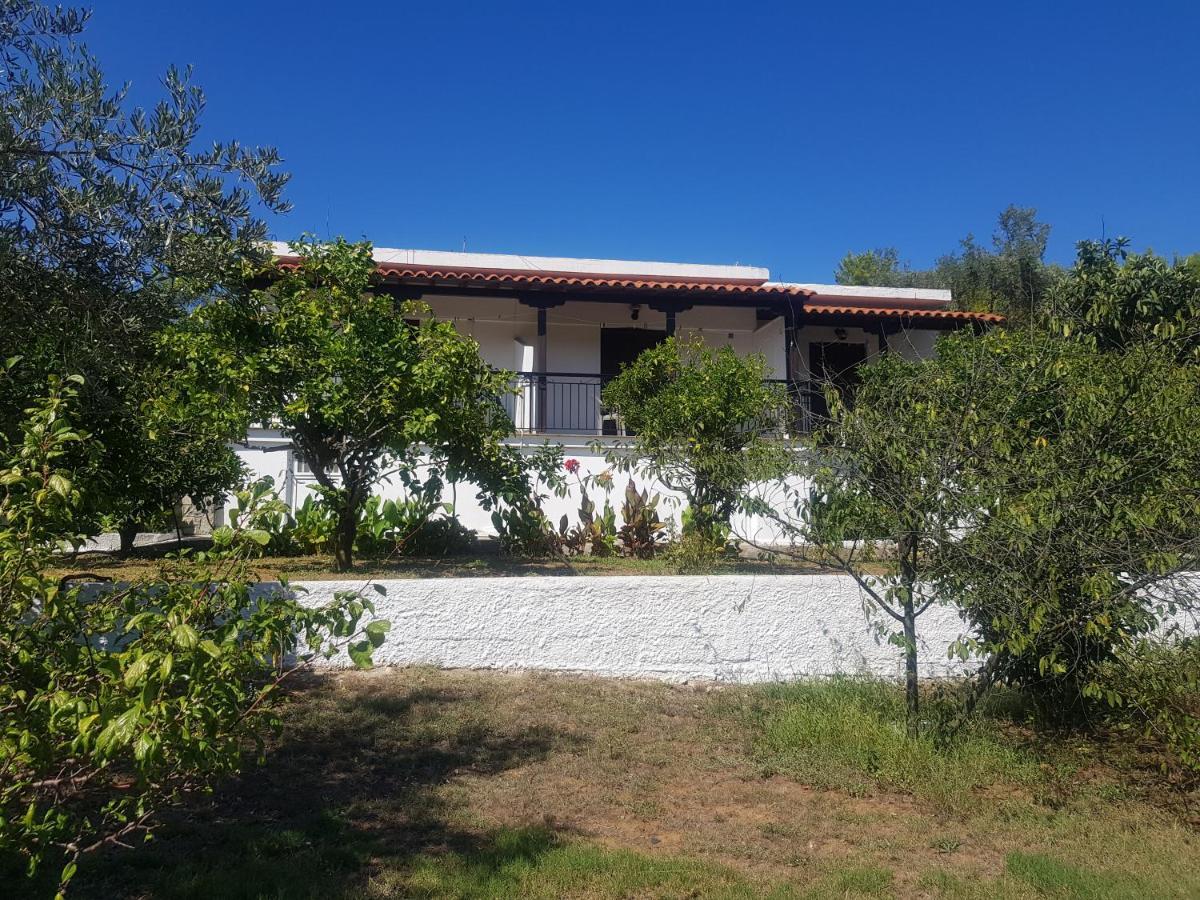 Kaiti Studios 1 Koukounaries Dış mekan fotoğraf