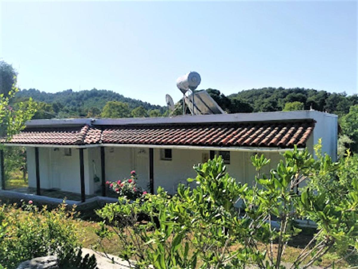 Kaiti Studios 1 Koukounaries Dış mekan fotoğraf